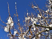 17 La neve si sta sciogliendo al sole